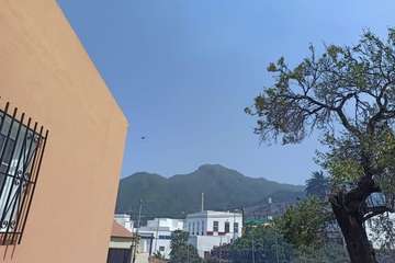 Incendio en La Palma/TA.