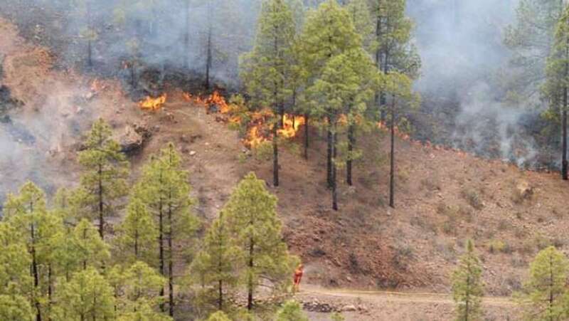 Incendio forestal/TA.