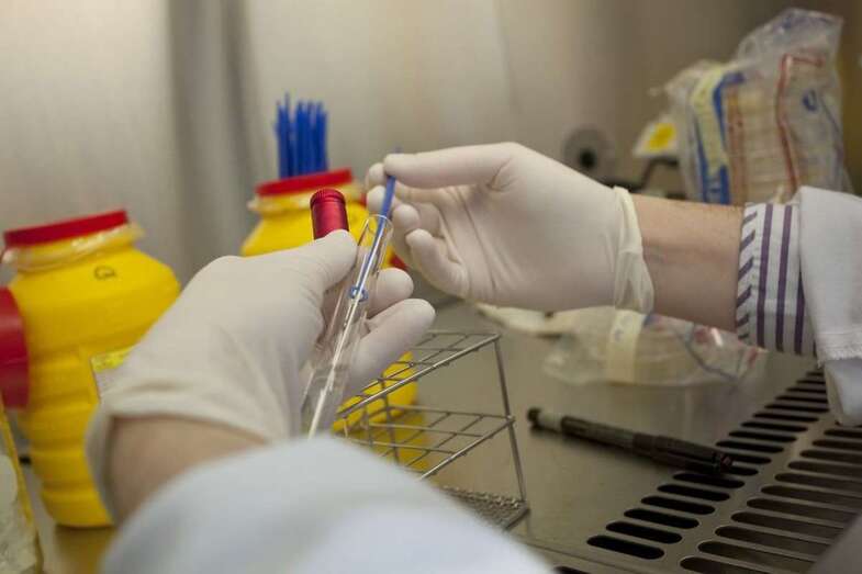 Todos los afectados presentan una evolución favorable y permanecen en aislamiento domiciliario / TA