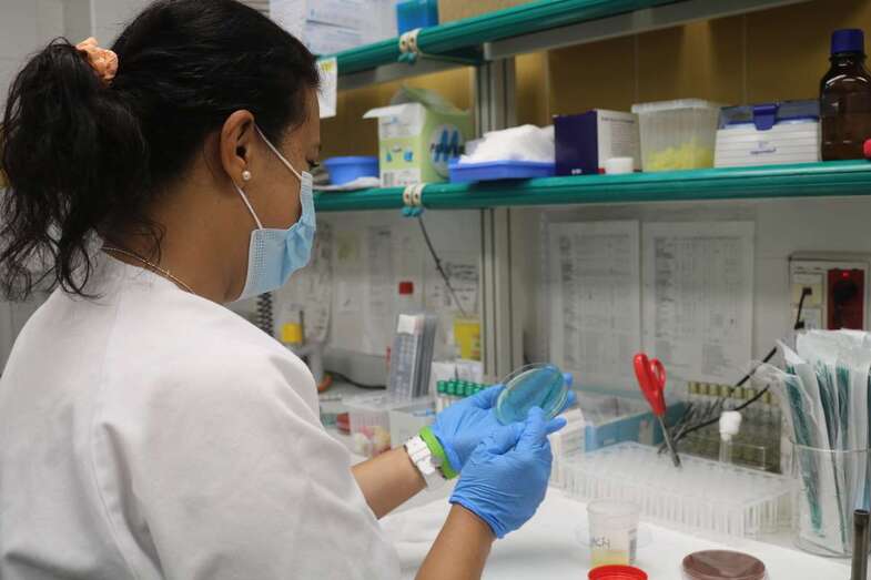 Imagen de archivo de unas pruebas de diagnóstico de viruela del mono / TA