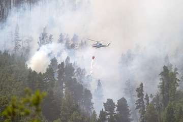 El incendio de Tenerife sigue activo con un avance lento y afecta a más de 2.400 hectáreas(Acfi Press.