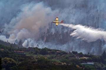 El incendio de Tenerife sigue activo con un avance lento y afecta a más de 2.400 hectáreas(Acfi Press.