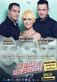 Cartel de la obra de Antonia San Juan (Foto TA)