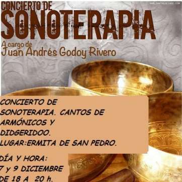 Cartel promocional del taller de sonoterapia (Foto TA)