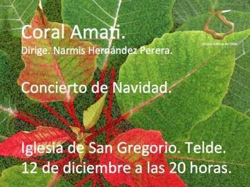 El concierto se celebrará este sábado 12 a las 20.00 horas (Foto TA)