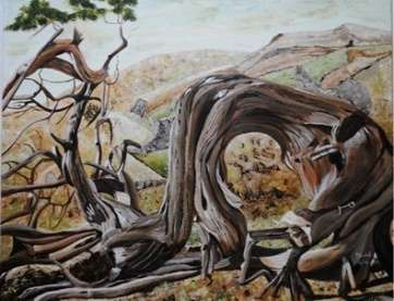 Detalle del cartel promocional (Foto TA)