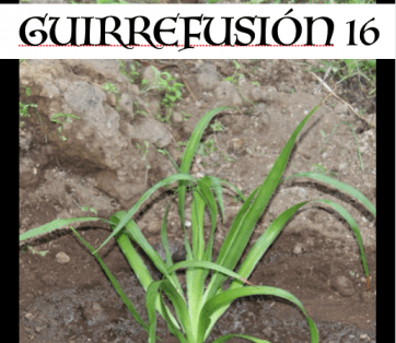 Cartel de la actividad (Foto TA)