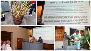 Diferentes momentos de las jornadas (Foto Jesús Ruiz Mesa)