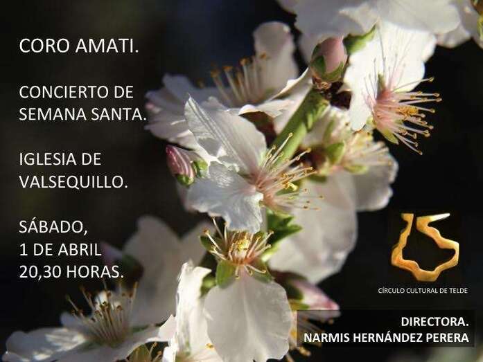 Cartel del evento Foto TA)