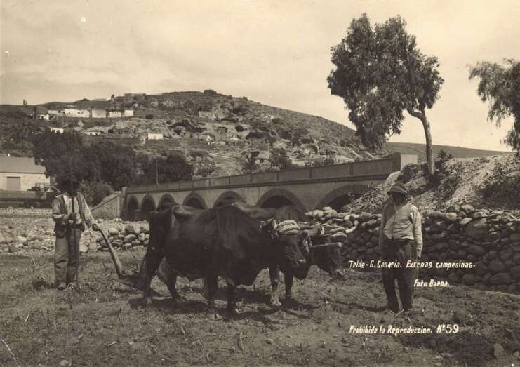 Campesinos arando junto al Puente de los Siete Ojos (Foto Fernando Baena / Fedac)