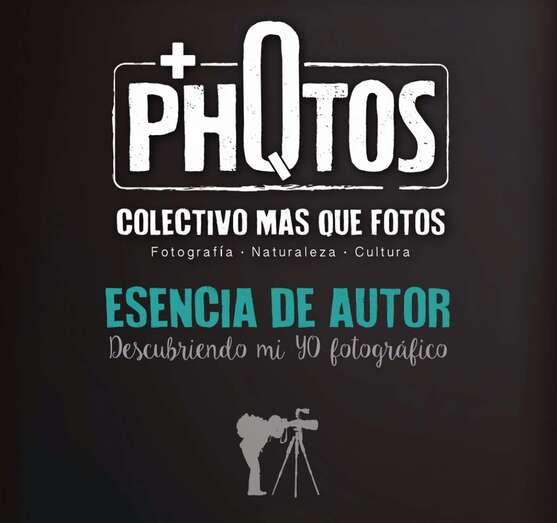 La muestra permanecerá abierta hasta el 13 de octubre en horario de tarde (Foto TA)