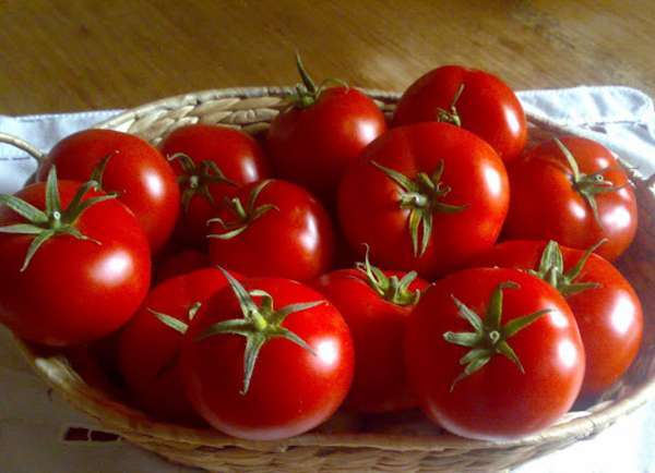 Tomates canarios (Foto TA)