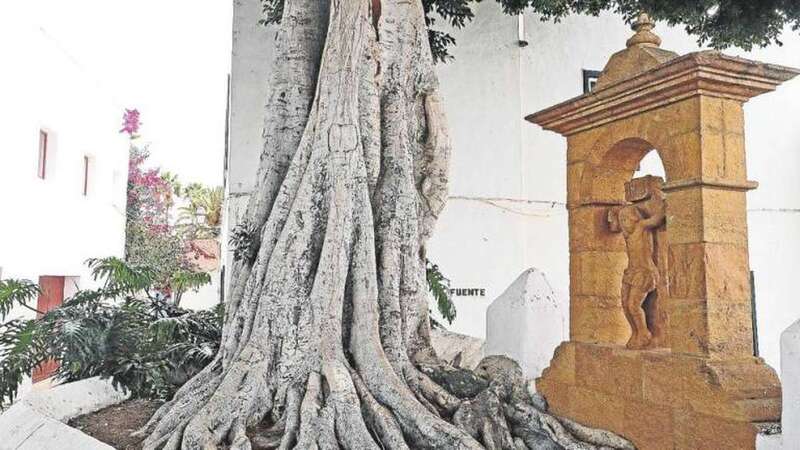 En la imagen, rincón del Árbol Bonito en San Francisco, con el Cristo y su templete (Foto C7)