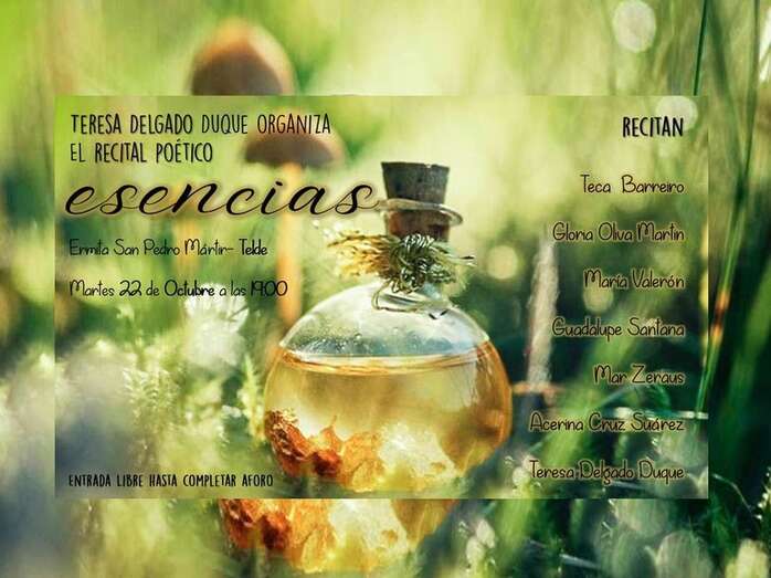 Cartel del evento (Foto TA)