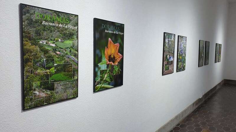 Paneles fotográficos que forman parte de la exposición (Foto TA)