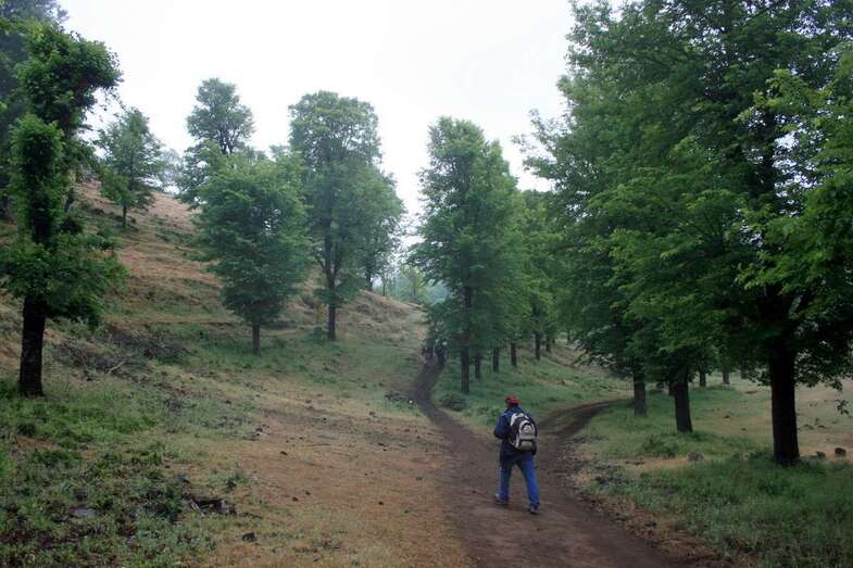 Imagen del camino (Foto Jesús Ruiz)