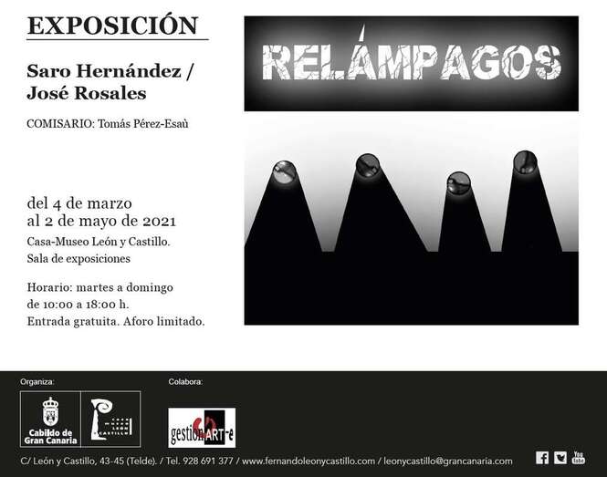 La muestra podrá visitar entre el 4 de marzo y el 2 de mayo / TA