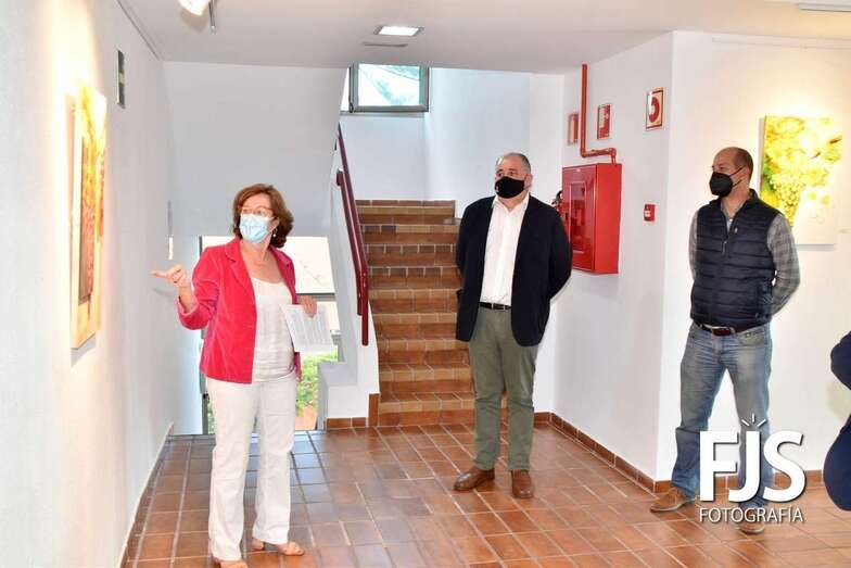 La autora explica uno de sus cuadros en el acto inaugural de la exposición que tuvo lugar esta tarde/Francisco Javier Santana.