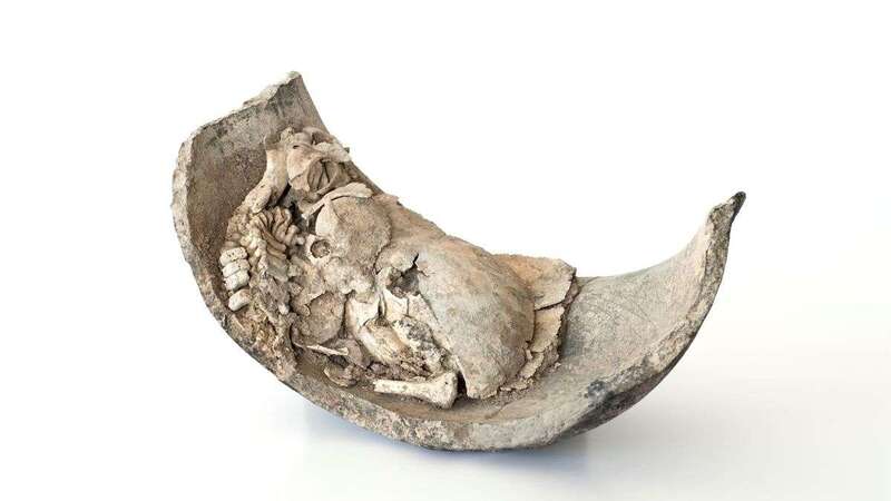 Un recién nacido conservado en una vasija cerámica (siglo XI a XII) que se recuperó del yacimiento de Cendro Museo Canario