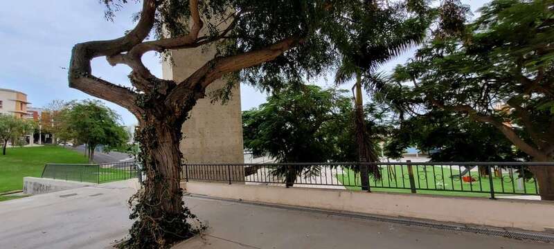 Imagen del parque urbano de San Gregorio / Jesús Ruiz