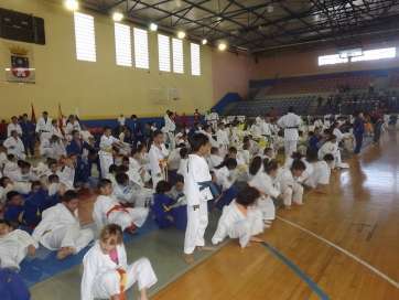 Imagen del VII Festival del Club de Judo Las Nieves (Foto TA)