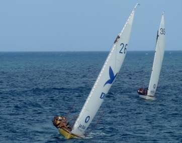 Vela Latina (Foto TA)