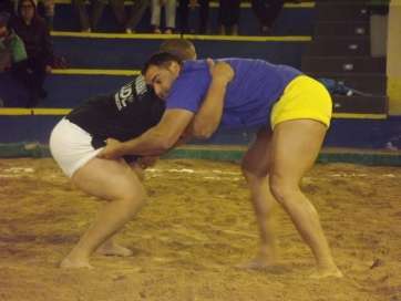 Imagen de la luchada contra el Maninidra (Foto: TA)