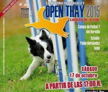 Cartel promocional del evento (Foto TA)