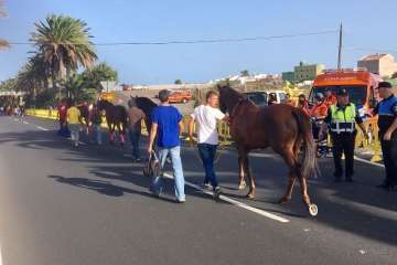 Reportaje gráfico TA y Teldeenfiestas
