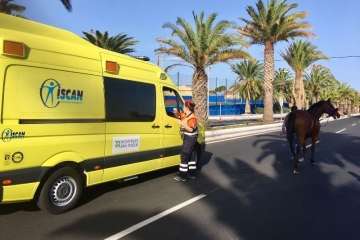 Reportaje gráfico TA y Teldeenfiestas