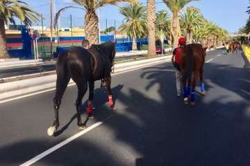 Reportaje gráfico TA y Teldeenfiestas