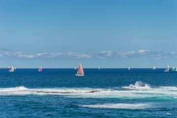 Foto TA y Sindo Hernández (1-13) y Antonio Rico (14-35)