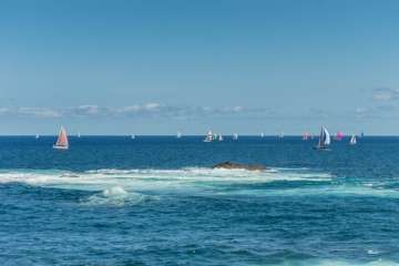 Foto TA y Sindo Hernández (1-13) y Antonio Rico (14-35)