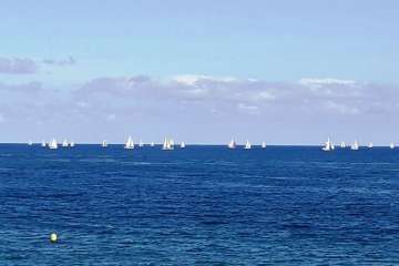Foto TA y Sindo Hernández (1-13) y Antonio Rico (14-35)