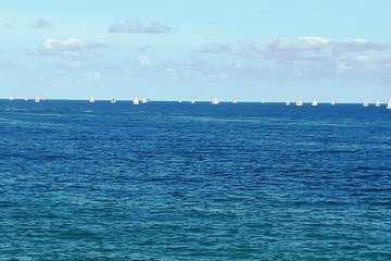 Foto TA y Sindo Hernández (1-13) y Antonio Rico (14-35)