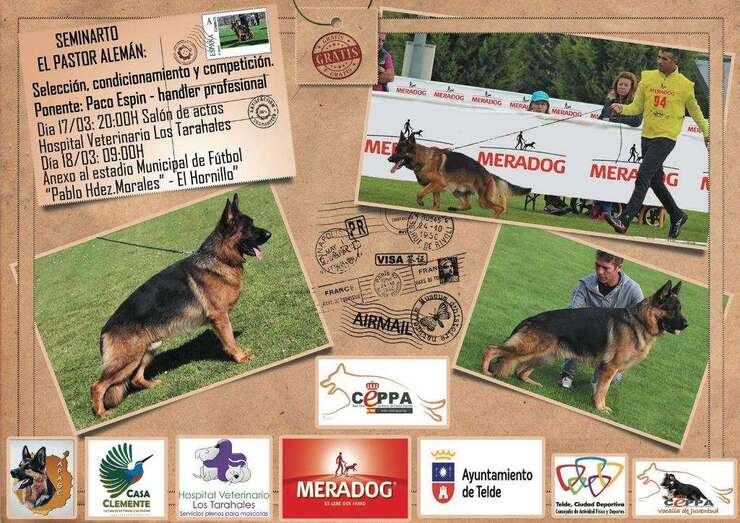 Cartel de la actividad (Foto TA)