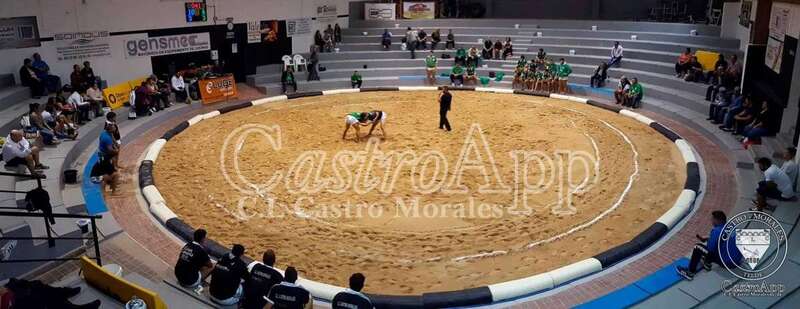 Imagen del terrero de Las Huesas (Foto Castro Morales)