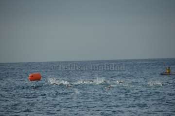 Reportaje gráfico TA