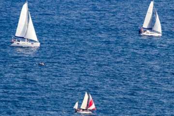 Telde otea el paso de los veleros de la XXXII Regata ARC (Foto Antonio Rodríguez 1-17 y TA 18-38)