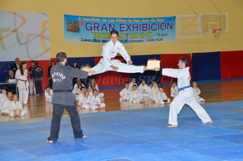 Momento de la exhibición (Foto Francisco Javier Santana)