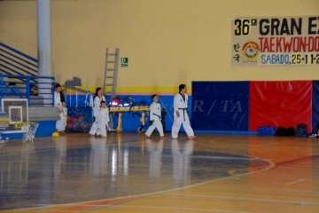 36Âª Exhibición de Taekwondo y Hapkido en Telde (Reportaje Francisco Javier Santana)