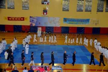 36Âª Exhibición de Taekwondo y Hapkido en Telde (Reportaje Francisco Javier Santana)