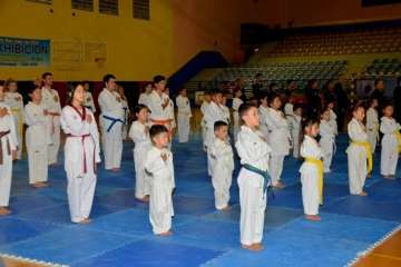 36Âª Exhibición de Taekwondo y Hapkido en Telde (Reportaje Francisco Javier Santana)