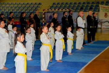 36Âª Exhibición de Taekwondo y Hapkido en Telde (Reportaje Francisco Javier Santana)