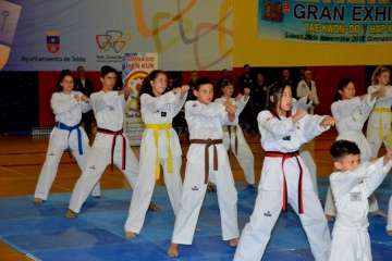 36Âª Exhibición de Taekwondo y Hapkido en Telde (Reportaje Francisco Javier Santana)