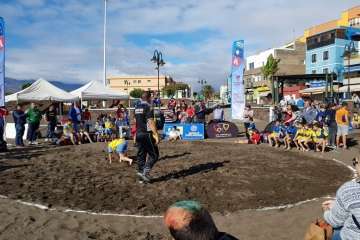 Encuentro Insular de Escuelas de Lucha Canaria en Melenara-Telde (Foto TA)