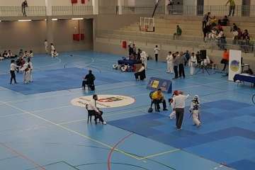 Primera edición de los Juegos de Gran Canaria de Taekwondo y Disciplinas Asociadas en Telde (Foto TA)