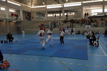 Primera edición de los Juegos de Gran Canaria de Taekwondo y Disciplinas Asociadas en Telde (Foto TA)