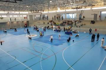 Primera edición de los Juegos de Gran Canaria de Taekwondo y Disciplinas Asociadas en Telde (Foto TA)