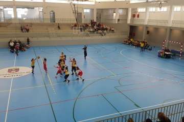 Fin de semana bajo la canasta en Telde (Foto TA)